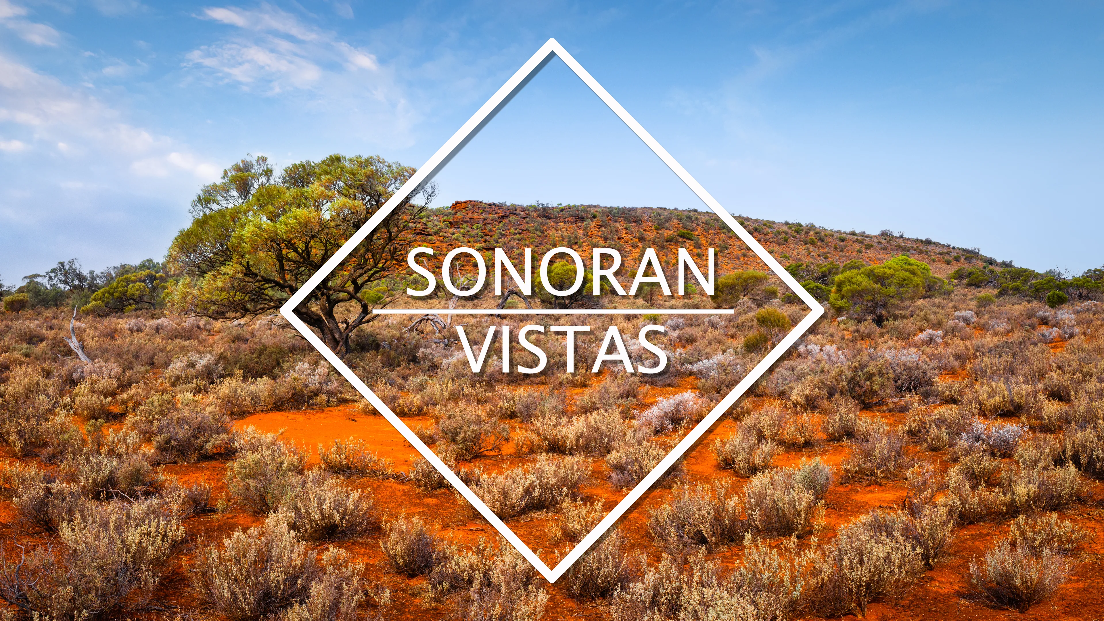 Sonoran Vistas poster